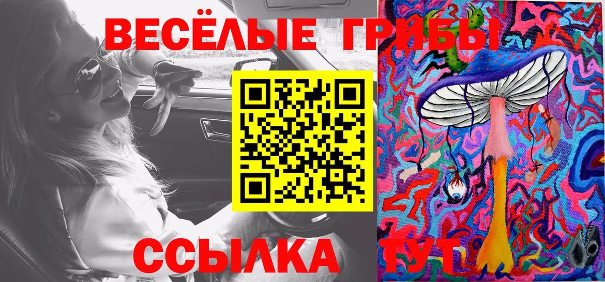 Псилоцибиновые грибы Psilocybine cubensis  Псилоцибиновые грибы мицелий  Вход с VPN  Аргун 